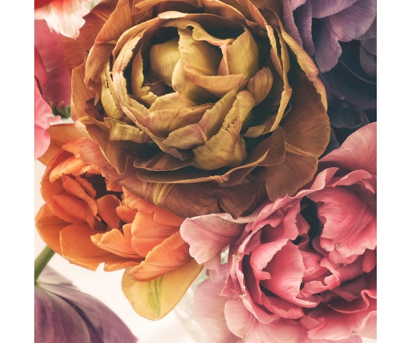 Fototapeta Kwiaty 3d Kolorowe na wymiar kolekcja PRESTIGE